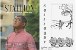 Read more about the article Stallion Magazine & Lit Folio 2019-20
