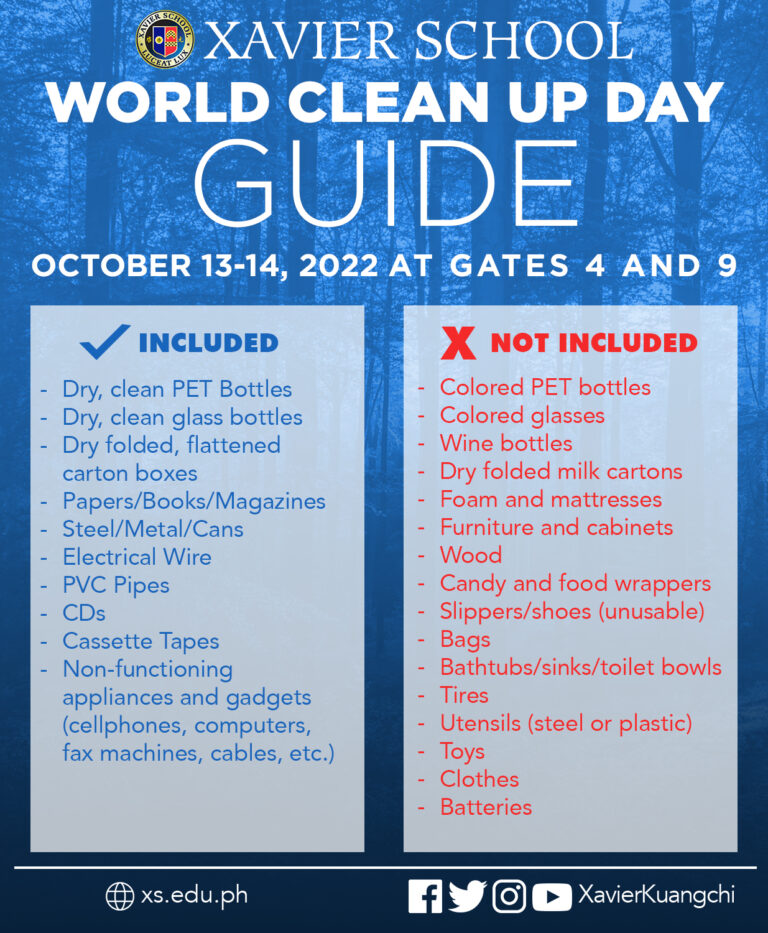 Read more about the article World Clean Up Day Guide