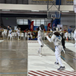 Fencing 1