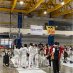 Fencing 3